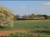 Im Münsterland zum Zeitpunkt der Aufnahme schon verblüht, gelang in Franken doch noch ein Eisenbahnbild mit einem Kirschbaum